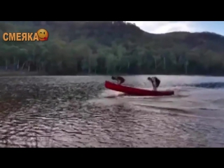 Приколы май 2016 №55