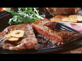 5 Привычек, Делающих Нас ГЛУПЕЕ