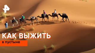 «Наука и техника»: как выжить в пустыне